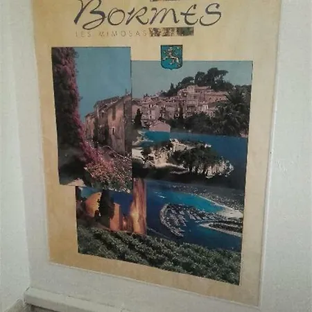 Les Mimosas