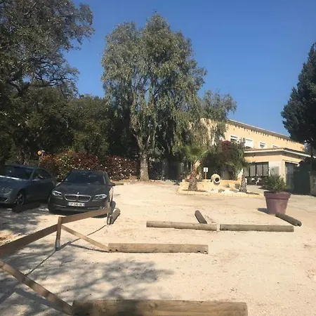 Les Mimosas 2*